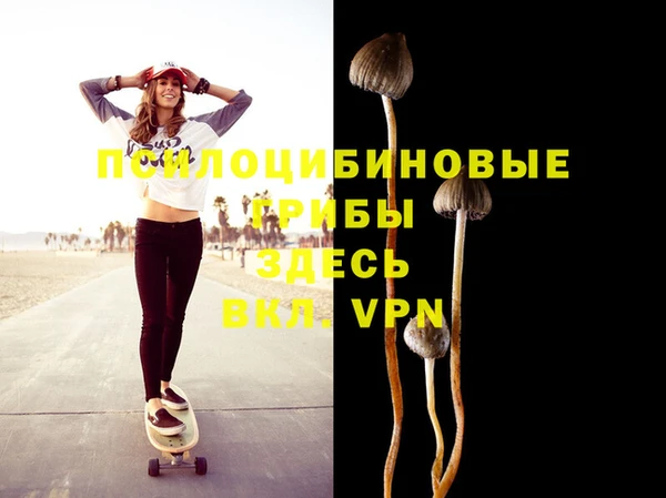 не бодяженный Беломорск