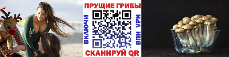 купить наркотики сайты  shop телеграм  ОМГ ОМГ как войти  Псилоцибиновые грибы мухоморы  Боготол 